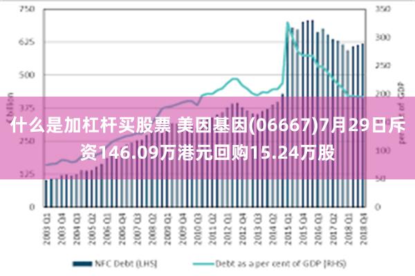 什么是加杠杆买股票 美因基因(06667)7月29日斥资146.09万港元回购15.24万股