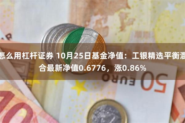 怎么用杠杆证券 10月25日基金净值：工银精选平衡混合最新净值0.6776，涨0.86%