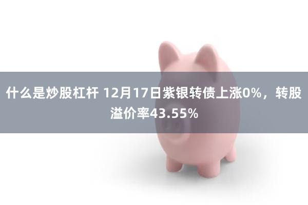 什么是炒股杠杆 12月17日紫银转债上涨0%，转股溢价率43.55%