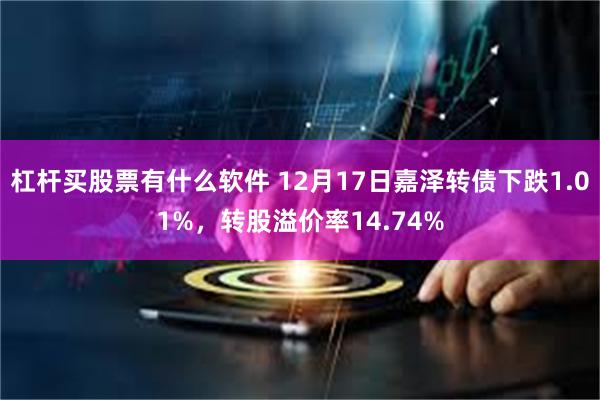 杠杆买股票有什么软件 12月17日嘉泽转债下跌1.01%，转股溢价率14.74%