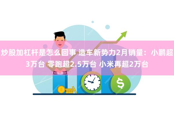 炒股加杠杆是怎么回事 造车新势力2月销量：小鹏超3万台 零跑超2.5万台 小米再超2万台